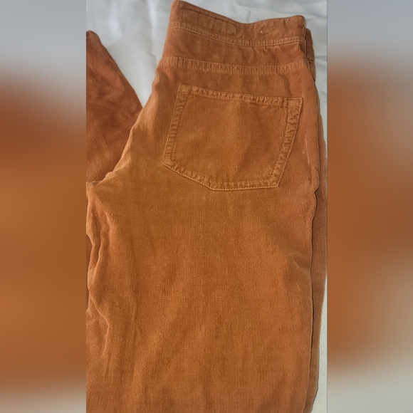 Pilcro and the letterpress corduroy skinny jeans / pants - Picture 9 of 16